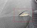 Üksikasjalik foto