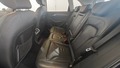 View of rear seat