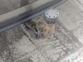 View of trailer tow-bar hitch