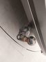 View of trailer tow-bar hitch