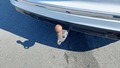 View of trailer tow-bar hitch