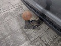 View of trailer tow-bar hitch