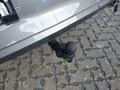 View of trailer tow-bar hitch