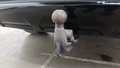 View of trailer tow-bar hitch