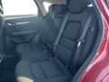 View of rear seat