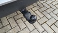 View of trailer tow-bar hitch