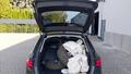 View of boot / luggage space