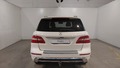 Rear view