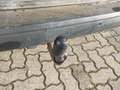 View of trailer tow-bar hitch