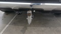 View of trailer tow-bar hitch
