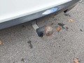 View of trailer tow-bar hitch