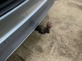 View of trailer tow-bar hitch