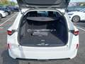 View of boot / luggage space