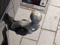 Podrobna fotografija