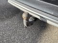 View of trailer tow-bar hitch
