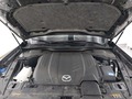 View of engine compartment