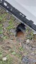 View of trailer tow-bar hitch