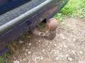 View of trailer tow-bar hitch
