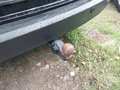 View of trailer tow-bar hitch