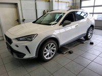 Photo de détail