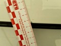 Photo de détail