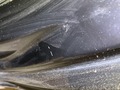 Photo de détail