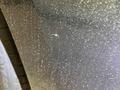 Photo de détail