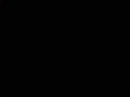 Photo de détail
