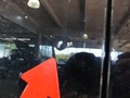 Detailní foto