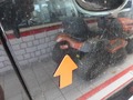 Detailní foto