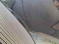 Detailní foto