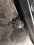 View of trailer tow-bar hitch