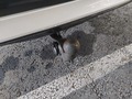 View of trailer tow-bar hitch