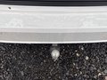 View of trailer tow-bar hitch