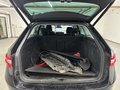 View of boot / luggage space