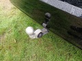 View of trailer tow-bar hitch