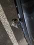 View of trailer tow-bar hitch