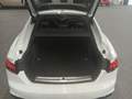 View of boot / luggage space
