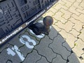 View of trailer tow-bar hitch