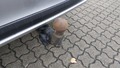 View of trailer tow-bar hitch