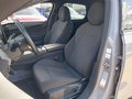View of front seats