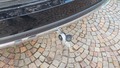 View of trailer tow-bar hitch