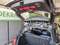Photo de détail