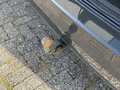 View of trailer tow-bar hitch