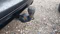 View of trailer tow-bar hitch