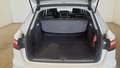 View of boot / luggage space