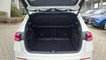 View of boot / luggage space