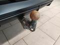 View of trailer tow-bar hitch