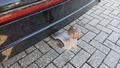 View of trailer tow-bar hitch