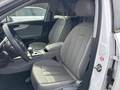 View of front seats